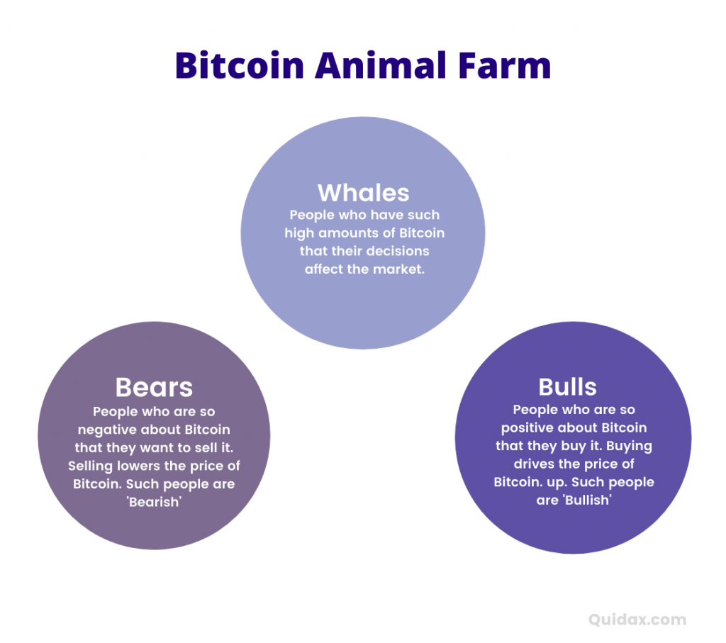 8 Exciting Events That Shaped Bitcoin in the Last 12 Years | Quidax Blog